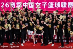 WNBA女武神vs火焰直播