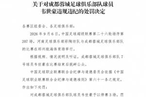 为何韦世豪禁赛3场+河南赛区被警告?中足联纪律准则中均明文规定
