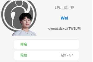 iG美服排位情况：TheShy、RK暂无账号 JiaQi 6场全胜 Wei 6胜1负