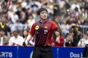 樊振东谴责偷拍者！中新网：“爱”从来不是窥探他人的通行证