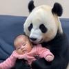 瓦莱塔U19VS帕提萨尼U19直播_瓦莱塔U19VS帕提萨尼U19在线观看直播_欧青联无插件在线观看
