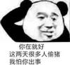 沃日多瓦茨VS维尔沙克直播_沃日多瓦茨VS维尔沙克无插件直播_塞尔甲免费高清在线观看