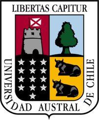 智利南方大学U21