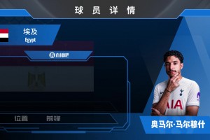 官宣！热刺先租后买5000万镑签下曼城前锋马尔穆什，来看集锦吧