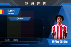 HWG！桑德兰超3kw欧签里昂边锋马利克·福法纳⚽️来看集锦