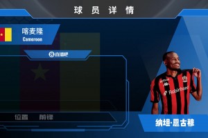 门兴前锋纳坦·恩古穆加盟尼斯，一起看下他的集锦！