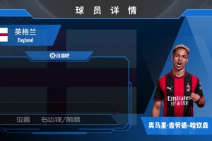HWG！米兰租借森林前锋哈钦森包含买断条款，来看集锦