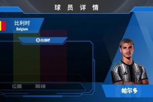 HWG！纽卡6000万欧+浮动签比利时国脚前锋，来欣赏帕尔多个人集锦