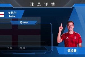 森林4500万镑签切尔西前锋德拉普，一起欣赏其个人集锦