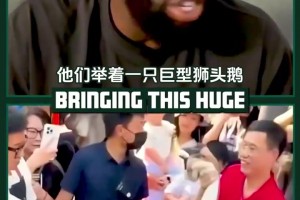中国行必吃榜？格林也去喝蜜雪冰城了！和嘴哥的画风完全不同！