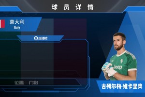 HWG！尤文租借热刺门将维卡里奥来看看意大利国门集锦！