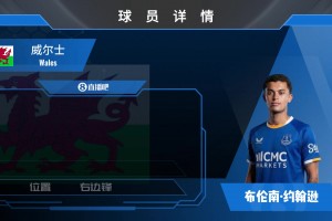 埃弗顿官方：布伦南·约翰逊加盟球队，一起欣赏其个人集锦