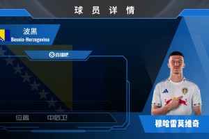 HWG！利兹联4000w欧签波黑国脚穆哈雷莫维奇看看集锦先