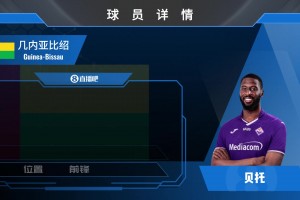 HWG！佛罗伦萨1700万欧签埃弗顿中锋贝托，一起欣赏其个人集锦