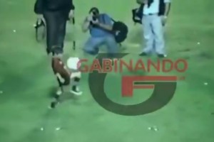 恩佐妻子赛后发声：早就猜到丈夫会掉眼泪，赛前曾叮嘱他好好享受
