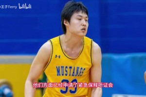 因签证逾期滞留
