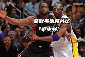 你觉得巅峰韦德和科比谁更强？
